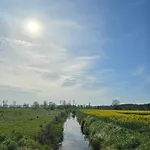 Zielono Mi Karwienskie Bloto Drugie