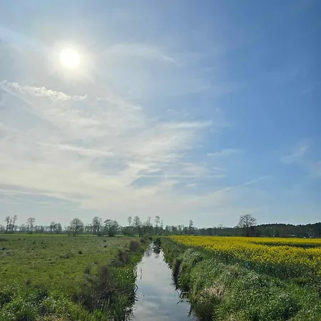 Zielono Mi Karwienskie Bloto Drugie