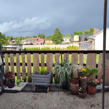 Gospodarstwo wiejskie Zielono Mi Karwienskie Bloto Drugie