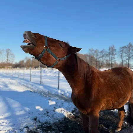 Zielono Mi Landsted Karwienskie Bloto Drugie
