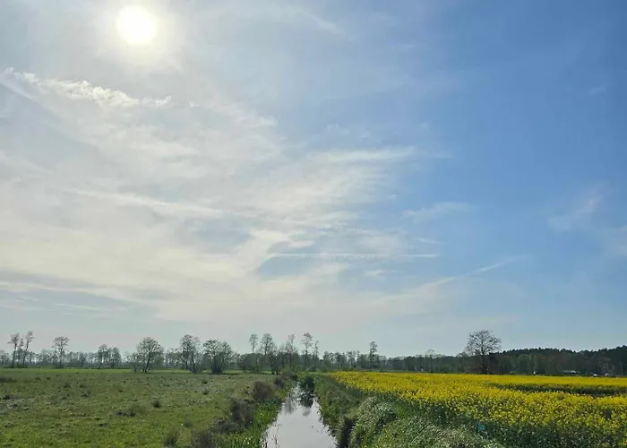 Zielono Mi Karwienskie Bloto Drugie