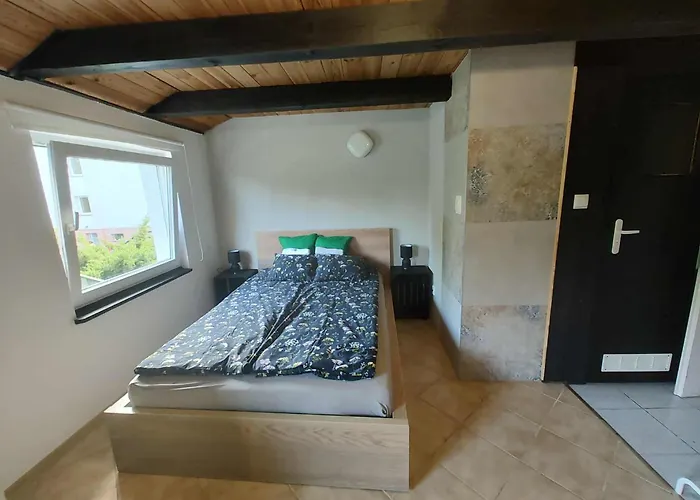 Zielono Mi * Karwienskie Bloto Drugie