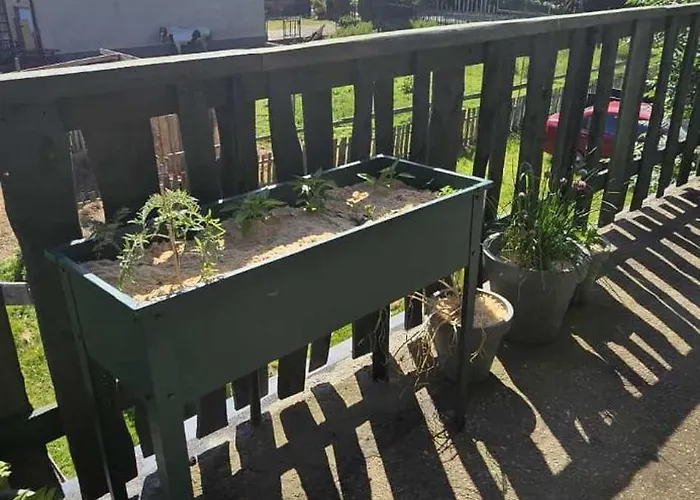 Zielono Mi Lantställe Karwienskie Bloto Drugie